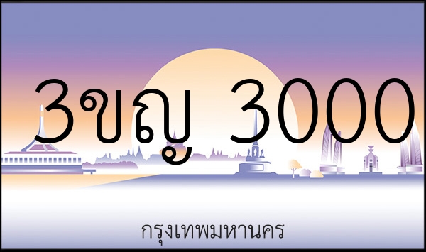 3ขญ 3000